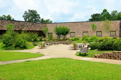 Rivendell Behavioral Health Services of Arkansas - Mental health treatment facility in Benton, AR