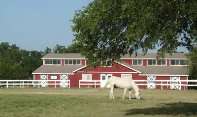 Paws For Reflection Ranch - Mental health facility in Midlothian offering Mental Health Services, Counseling services