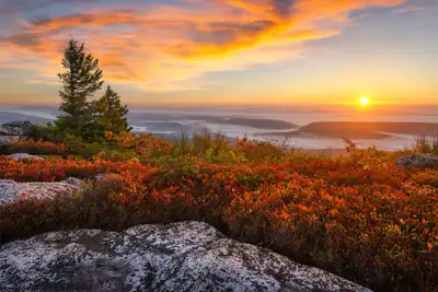 WV Psychiatric Services - Mental health facility in Snowshoe offering Outpatient Treatment, Telehealth Services services