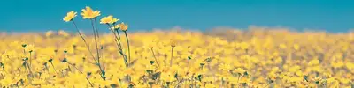 Capstone Behavioral Health of Nebraska - Mental health treatment facility in Omaha, NE