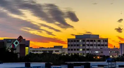 USF Health Rothman Center - Pediatric Neuropsychiatry - Mental health facility in St. Petersburg offering Mental Health Services, Outpatient Services services