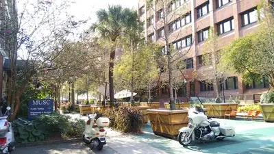 MUSC Health Institute of Psychiatry - Mental health treatment facility in Charleston, SC