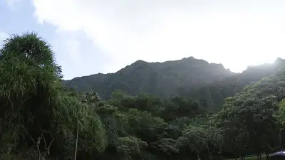 Kokua MHW Group - Mental health treatment facility in Honolulu, HI
