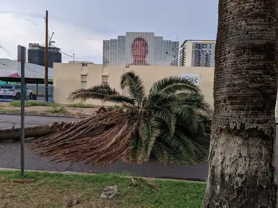 one n ten - Mental health treatment facility in Phoenix, AZ