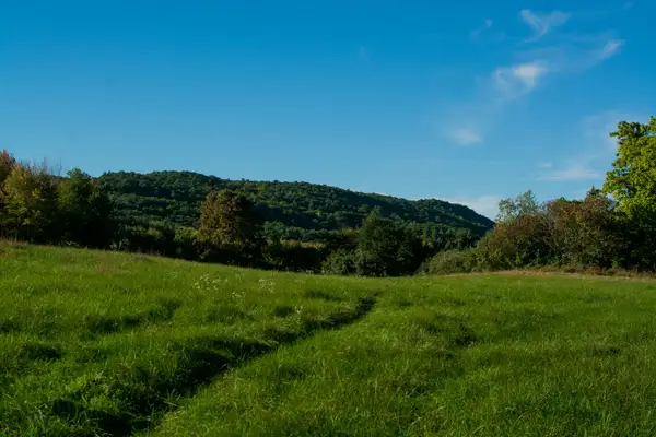 Mental health facilities in Willimantic, Connecticut - Find treatment centers