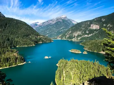 Mental health facilities and treatment centers in Washington - Comprehensive directory