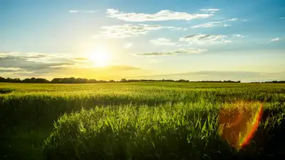 Mental health facilities and treatment centers in Iowa - Comprehensive directory