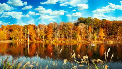 Mental health facilities and treatment centers in Maryland - Comprehensive directory