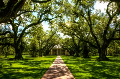 Mental health facilities and treatment centers in Louisiana - Comprehensive directory