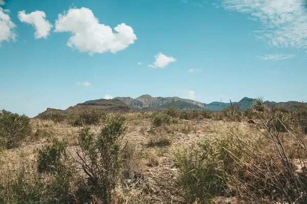Mental health facilities in Lubbock, Texas - Find treatment centers