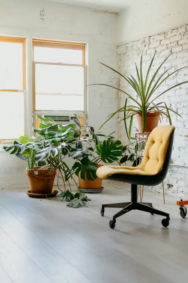 Psychodynamic Therapy treatment session