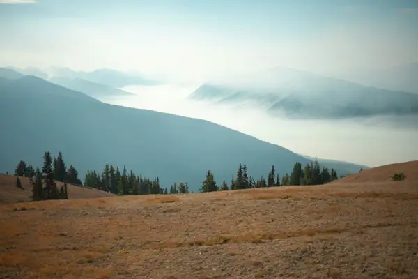 Mental health facilities in Camas, Washington - Find treatment centers